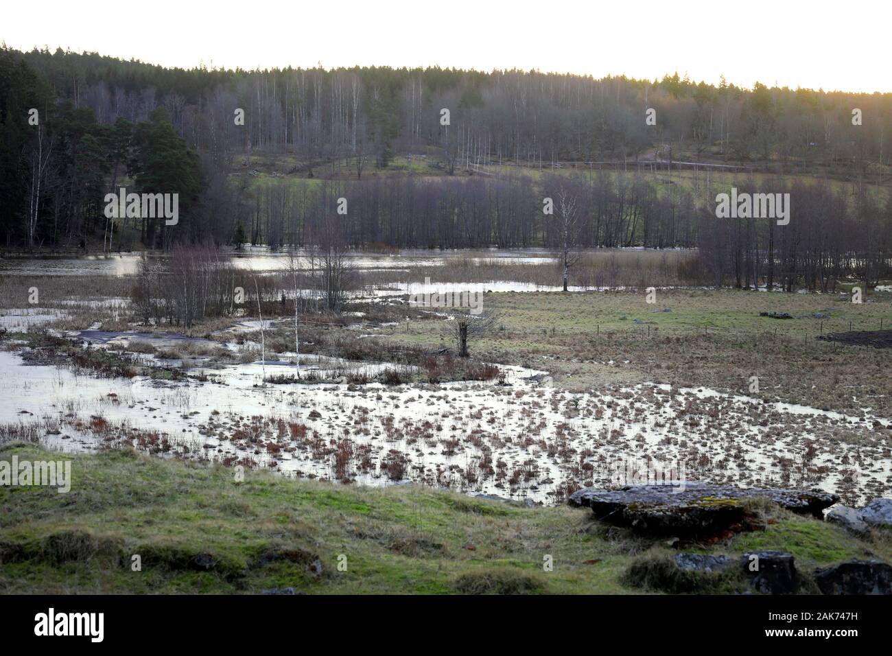 Les inondations Kiskonjoki river, au sud-ouest de la Finlande, en janvier 2020. Le temps doux et les précipitations provoquent des inondations de l'hiver dans le sud de la Finlande. Banque D'Images