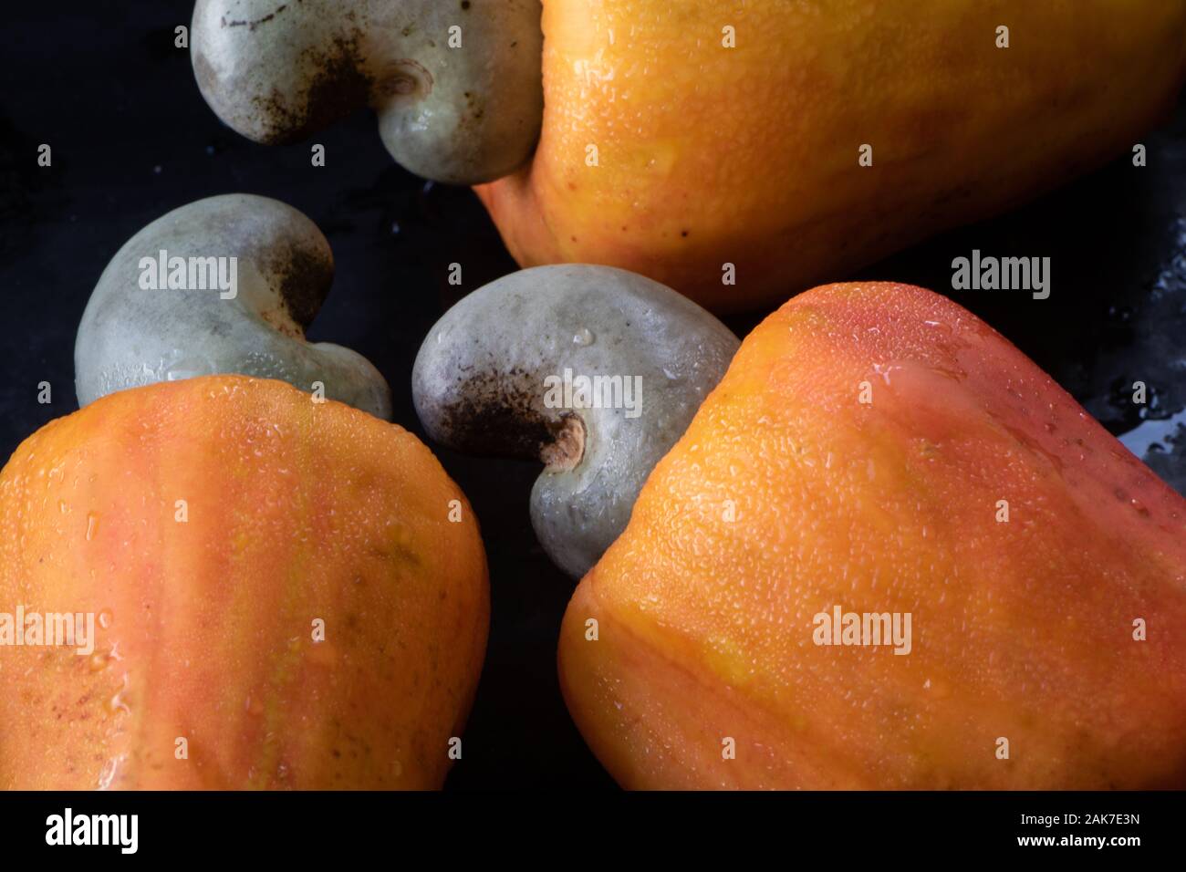 Recife, 29/12/2020. Fruits tropicaux de cajou au nord-est du Brésil. Banque D'Images