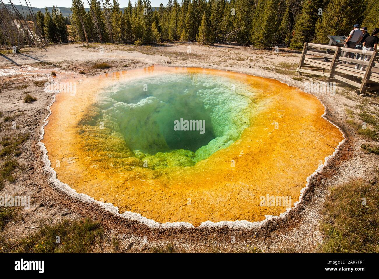 Gloire du matin piscine dans le Parc National de Yellowstone, Wyoming, USA Banque D'Images