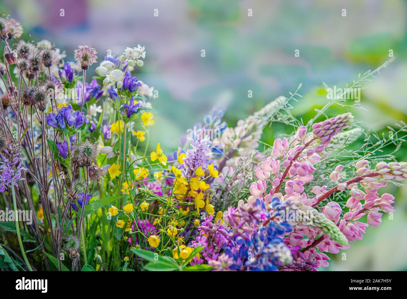 Un gros bouquet de fleurs sauvages différentes de delphinium Bleu bleuet, renoncule, sur une journée ensoleillée. Copier l'espace. Banque D'Images