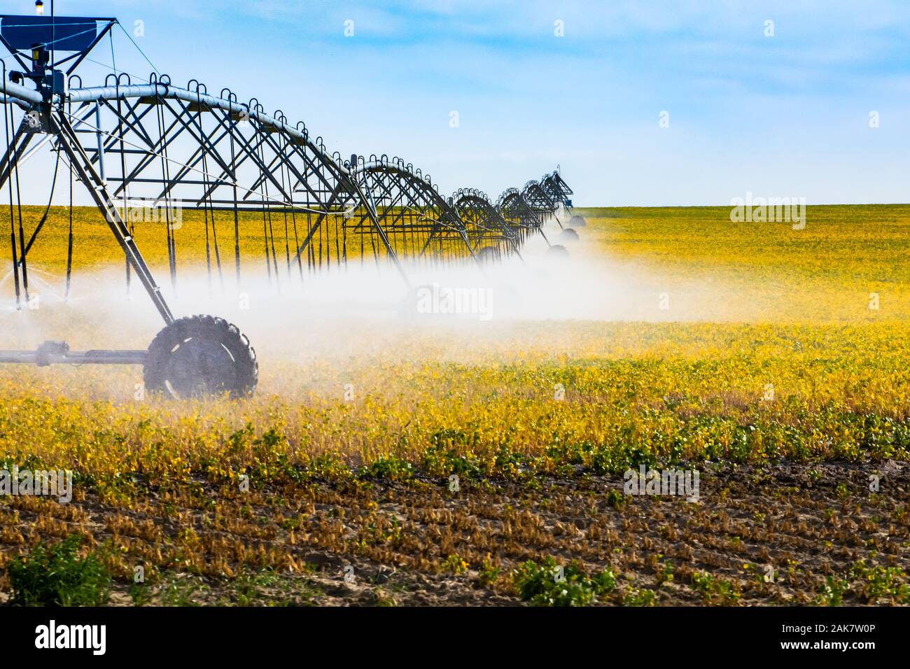 Une vue latérale d'un long bras d'irrigation système de gicleurs d'eau à partir de cultures de pulvérisation au-dessus dans un grand champ, avec copie espace à droite Banque D'Images