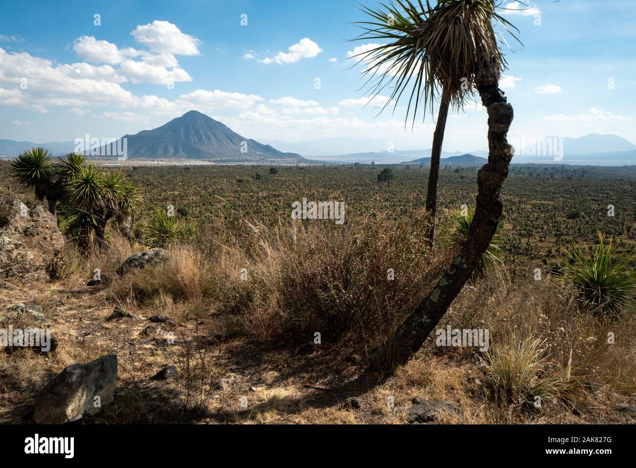 Cantona, Puebla, Mexique - un site archéologique mésoaméricain avec seulement peu de visiteurs Banque D'Images