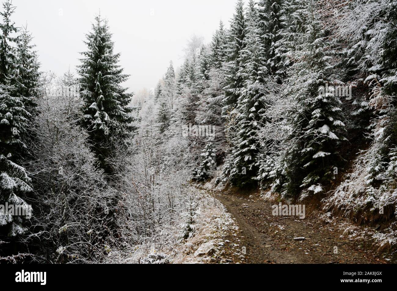 Site de restauration alpine Draxin dans les montagnes de Fagaras Roumanie. Banque D'Images