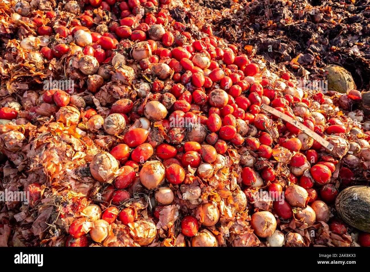 Fruits et légumes pourris, les agriculteurs, l'agriculture non durable des déchets concept. Banque D'Images