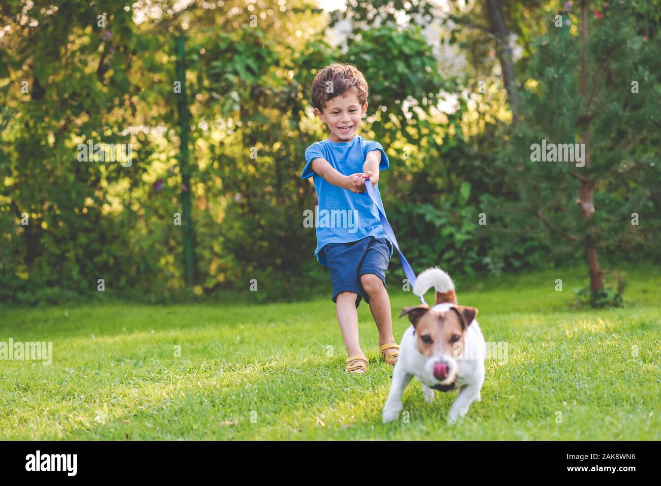 Petit garçon et la formation de chien à marcher en laisse sans tirer Banque D'Images