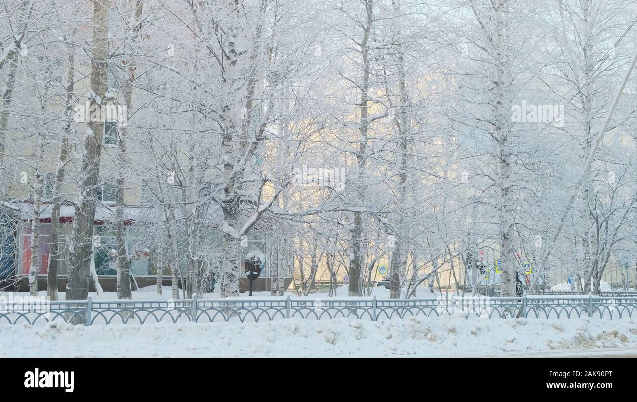 En hiver la neige en ville froide journée ensoleillée, les arbres sous la neige, l'hiver venu, slow motion. Banque D'Images
