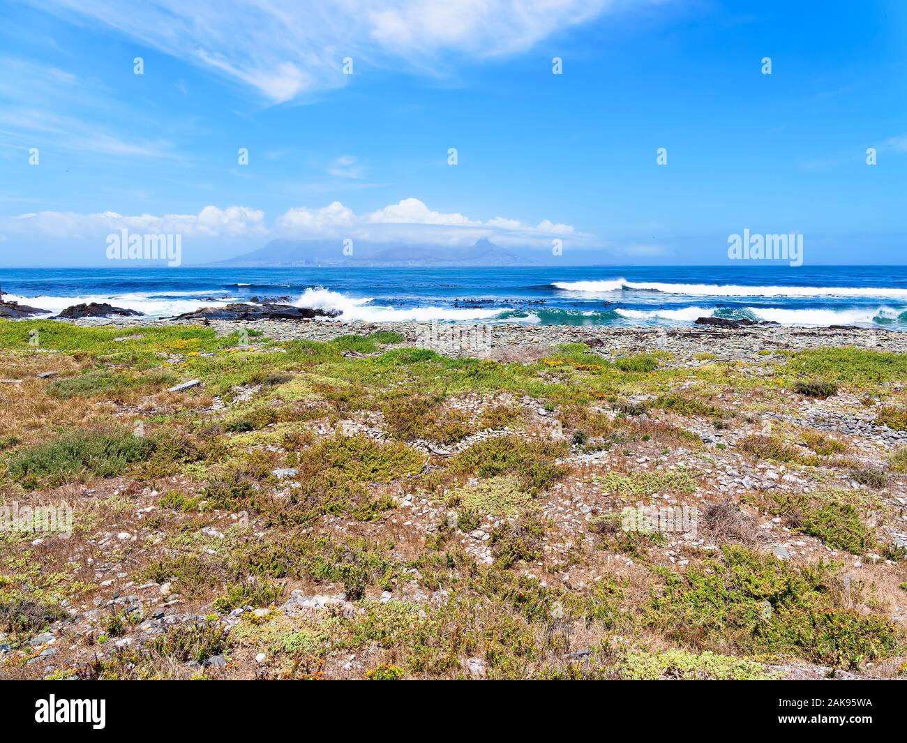 En bas de la côte rocheuse de l'île Robben à un cap. Banque D'Images