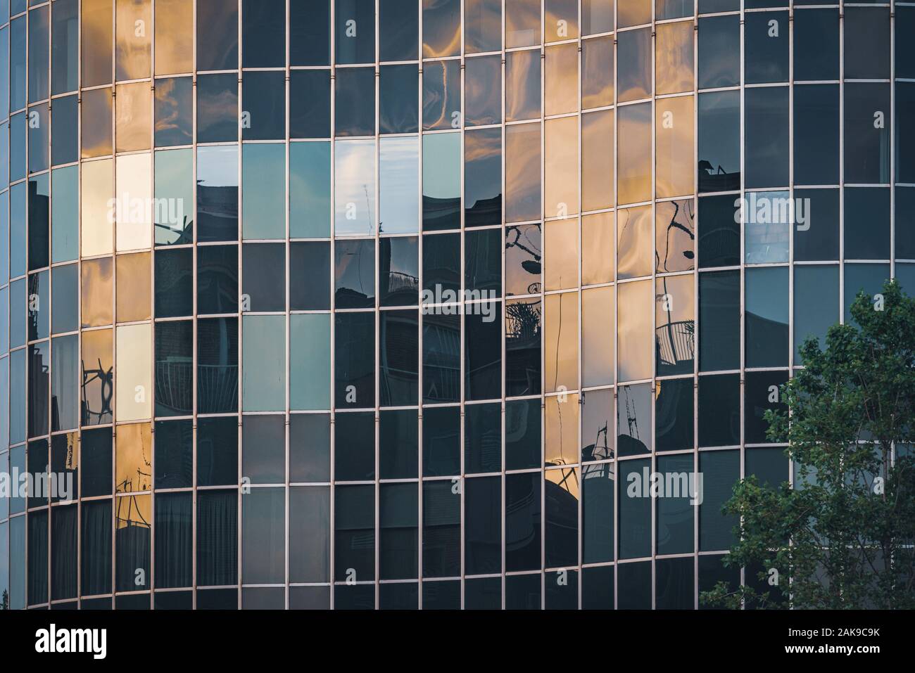 Les lumières de l'après-midi se reflètent sur la façade en verre incurvée d'un immeuble de bureaux. Banque D'Images