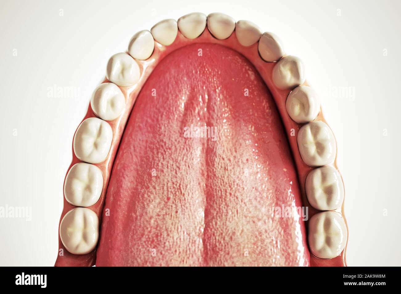 Implant dentaire invisible sur fond blanc - le rendu 3D Banque D'Images