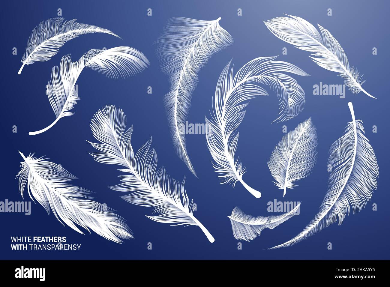 Réaliste blanc plumes d'oiseau. Les plumes de vol de vecteur défini avec la transparence. Collection de clipart. Plume fluffy relevant des fuzz. Swan Goose ou fuzz. Différents éléments isolés léger. Illustration de Vecteur