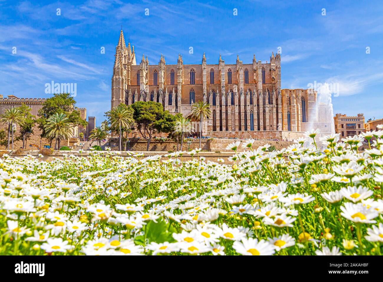Vue sur Cathédrale La Seu, Mallorca Espagne Banque D'Images