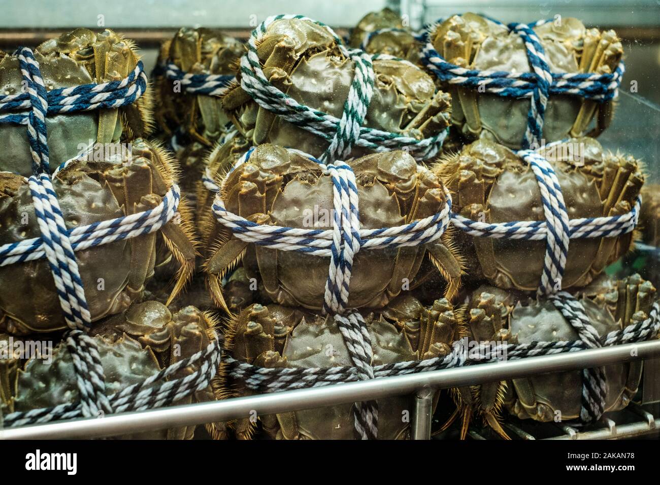Le crabe poilu en vente sur le marché aux poissons, à Hongkong Banque D'Images