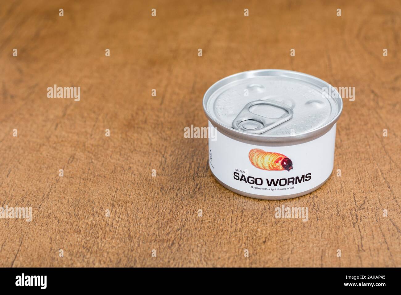 Tin des insectes comestibles / nouveauté - alimentaire vers / Rhyncophorus ferrugineus sagou. Concept d'insectes comme nourriture humaine, l'entomophagie, manger bugs insectes. Banque D'Images