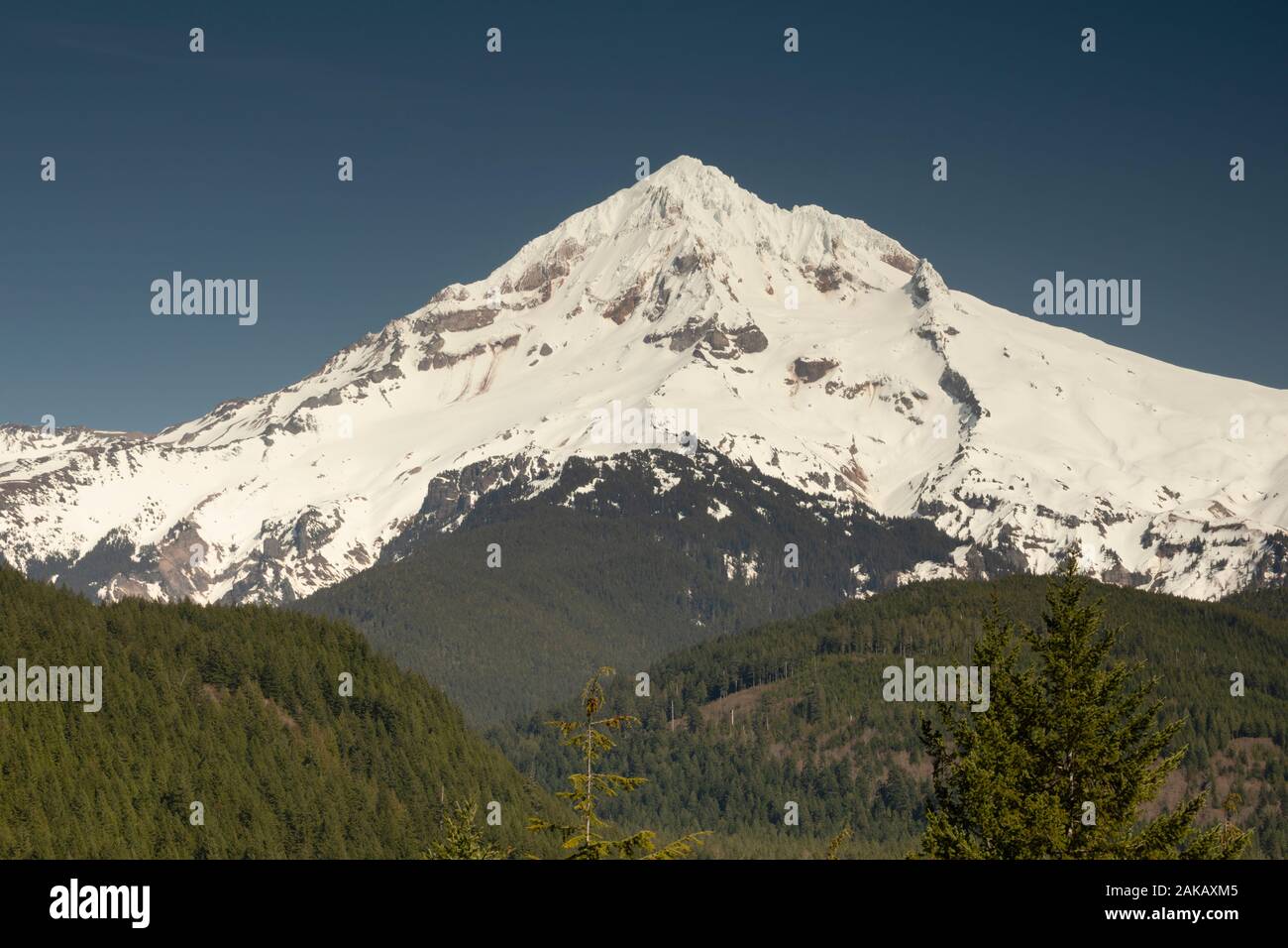 Vue sur le Mont Shasta, le comté de Siskiyou, California, USA Banque D'Images