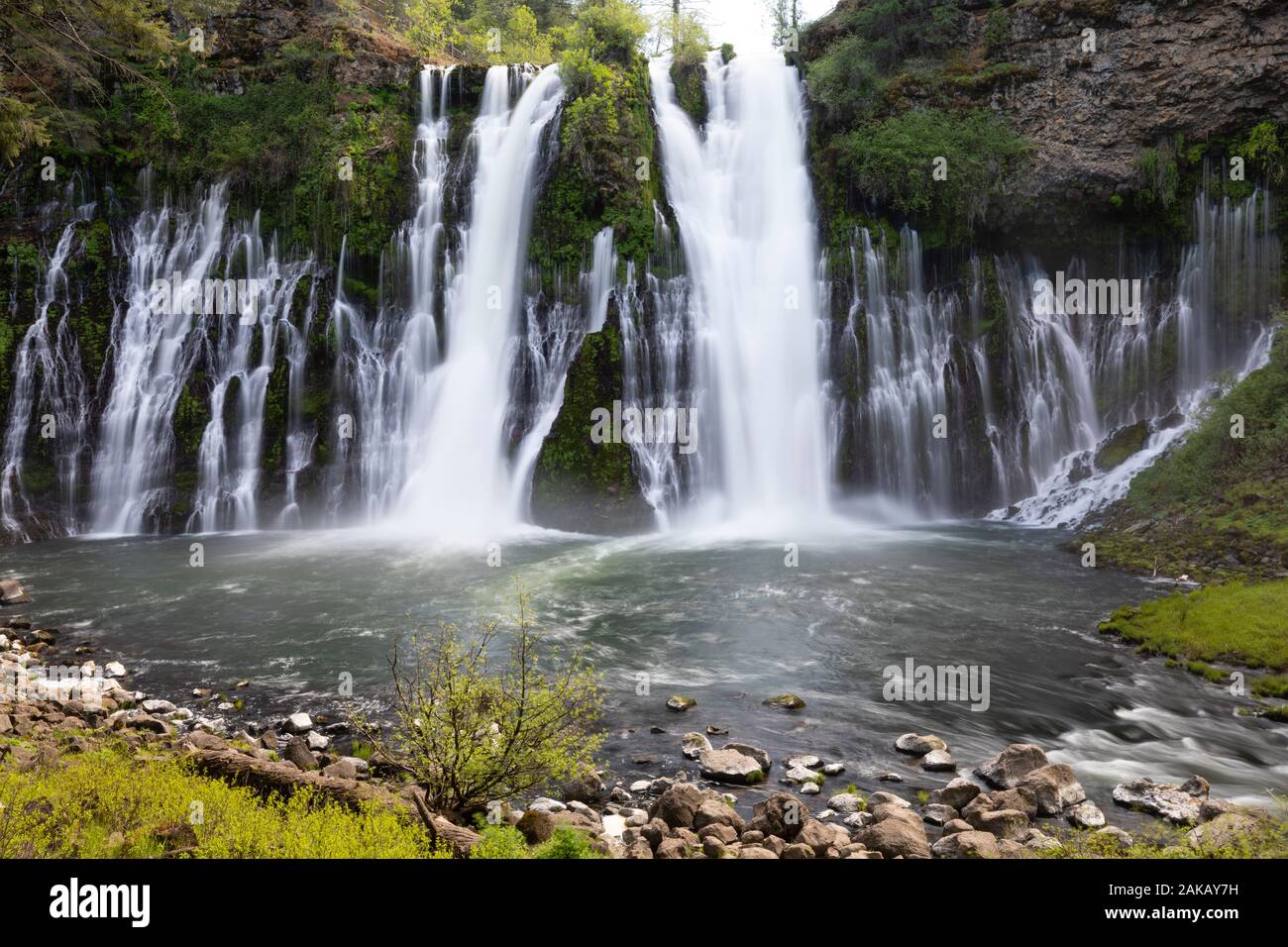 Voir des cascades, McArthur-Burney Falls Memorial State Park, Burney, California, USA Banque D'Images
