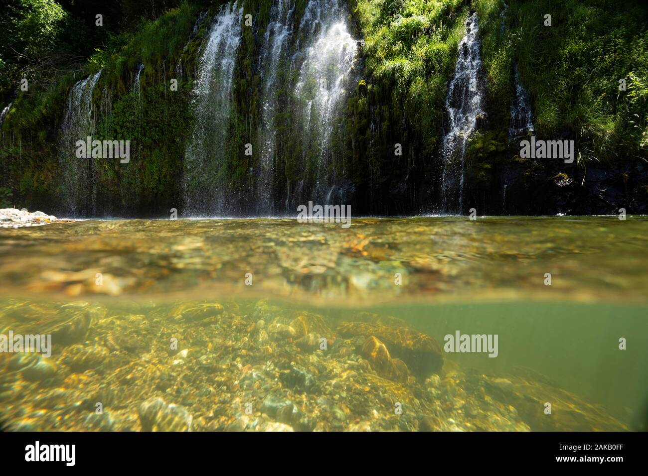 La surface claire de la rivière Sacramento et éclaboussant Mossbrae Falls, Dunsmuir, California, USA Banque D'Images