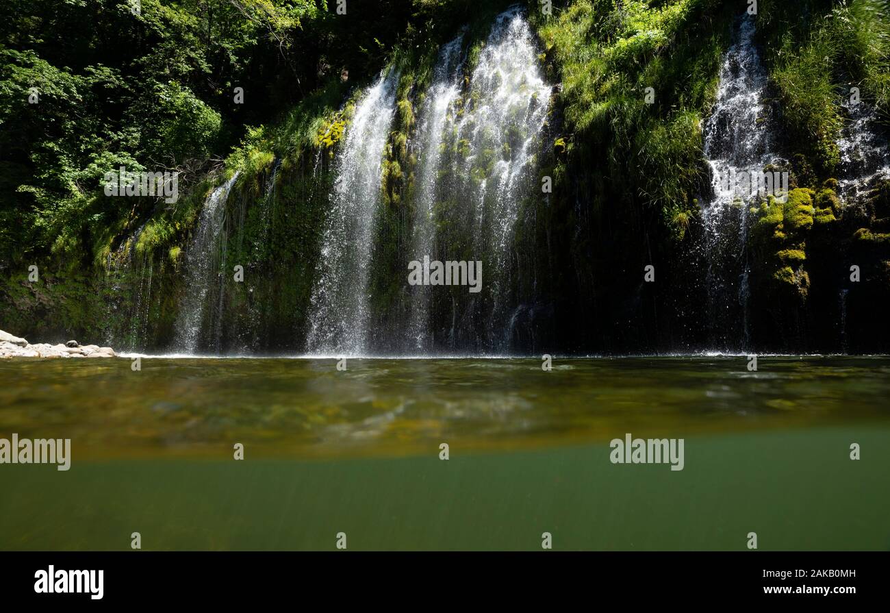 Mossbrae Falls qui se jettent dans la rivière Sacramento vert, Dunsmuir, California, USA Banque D'Images