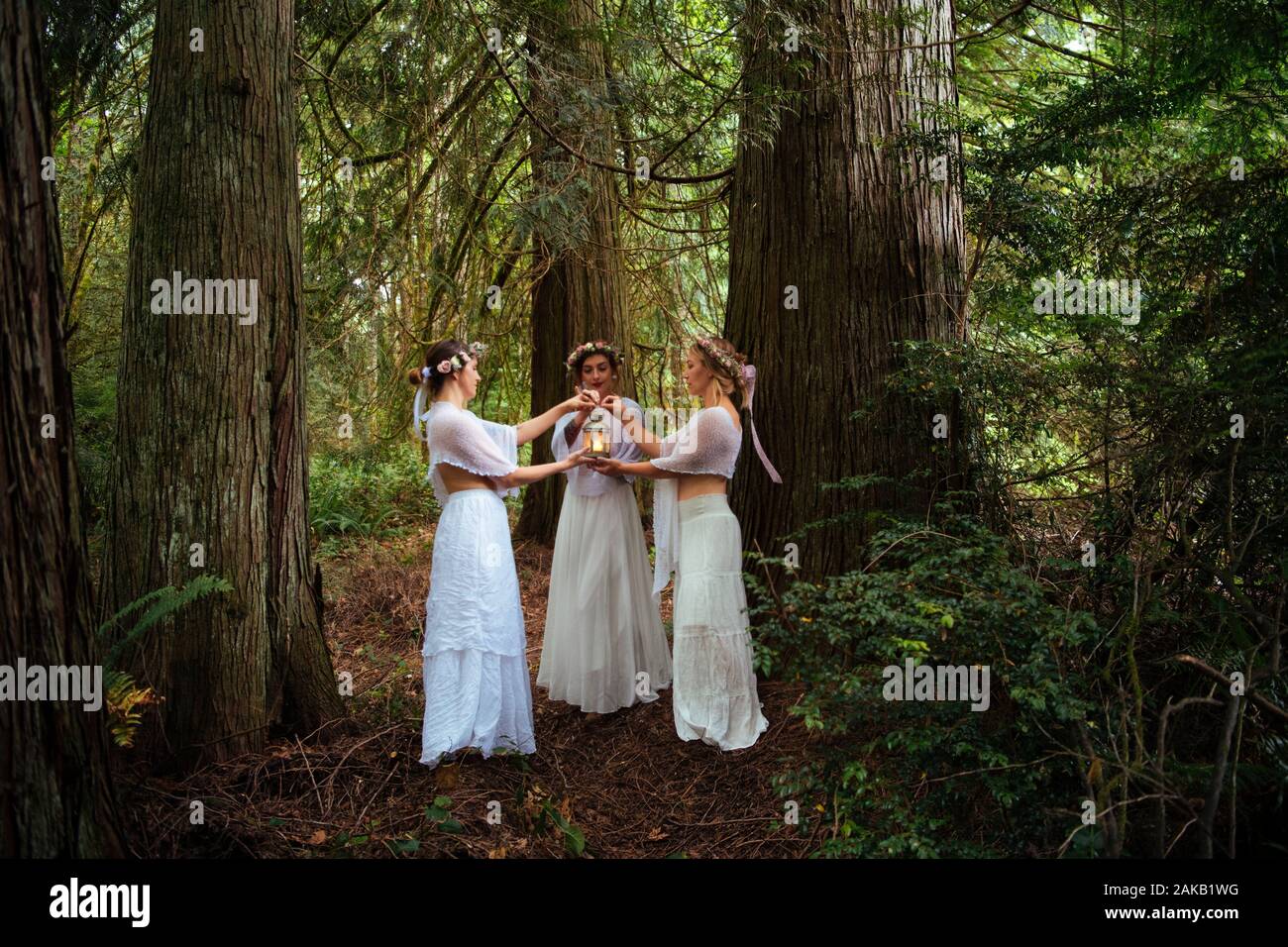 Femme trois nymphes en forêt, Bainbridge Island, Washington, USA Banque D'Images
