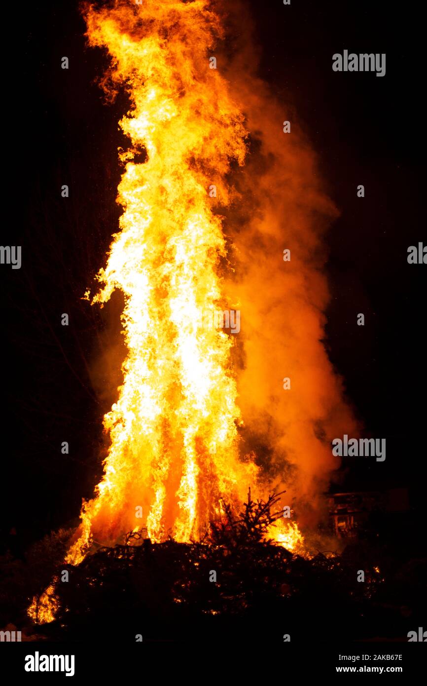 Les arbres à feuilles persistantes de combustion produisent des flammes orange et jaune de hauteur, et d'étincelles Banque D'Images