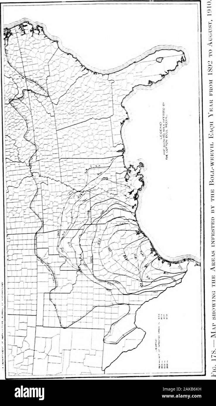 Le sud de grandes cultures (à l'exclusion des plantes fourragères) . Fig. 177. - Le ITind Cultivatok. =chaîne je fou du sol pour l'AVD DK.-VWING LE TOMBÉ SqU.BES POUR L'W.VTEB-FUEBOW. la partie sud du Mississippi était plus qu'tAice thisdistance liringing, le charançon à la fin de 1909 pour withinal)à dix milles de la ligne de l'Alabama dans le voisinage d'iXIo-l^ile. À l'automne 1910, cet insecte a envahi plusieurs pays s'inscrit dans la partie sud-est de Alaliama. Probaldy itsextension vers le nord sera l)e un peu moins rapide que itseastward propagation. Traverser le Rio (irande de ^Mexique environ 1S92 ithas persistance Banque D'Images