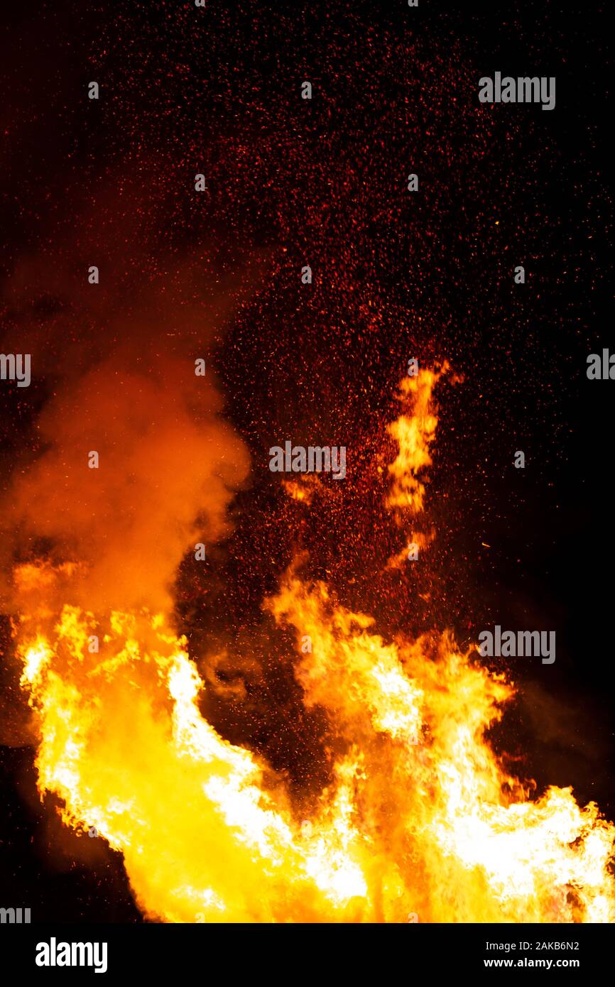 Les arbres à feuilles persistantes de combustion produisent des flammes orange et jaune de hauteur, et d'étincelles Banque D'Images