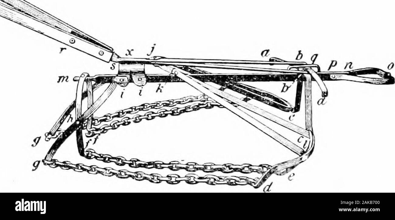 Le sud de grandes cultures (à l'exclusion des plantes fourragères) . - Avances sur un fiftymiles j-l'oreille. Cependant, en 1909 la propagation vers l'échelle. Fig. 177. - Le ITind Cultivatok. =chaîne je fou du sol pour l'AVD DK.-VWING LE TOMBÉ SqU.BES POUR L'W.VTEB-FUEBOW. la partie sud du Mississippi était plus qu'tAice thisdistance liringing, le charançon à la fin de 1909 pour withinal)à dix milles de la ligne de l'Alabama dans le voisinage d'iXIo-l^ile. À l'automne 1910, cet insecte a envahi plusieurs pays s'inscrit dans la partie sud-est de Alaliama. Probaldy itsextension vers le nord sera l)e un peu moins rapide que itsea Banque D'Images