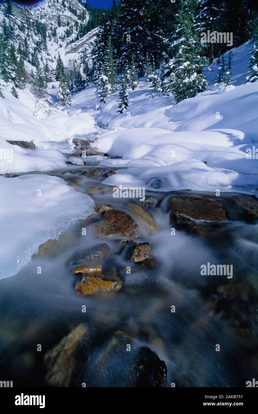 Paysage avec ruisseau gelé dans le parc national de Banff en hiver, Alberta, Canada Banque D'Images