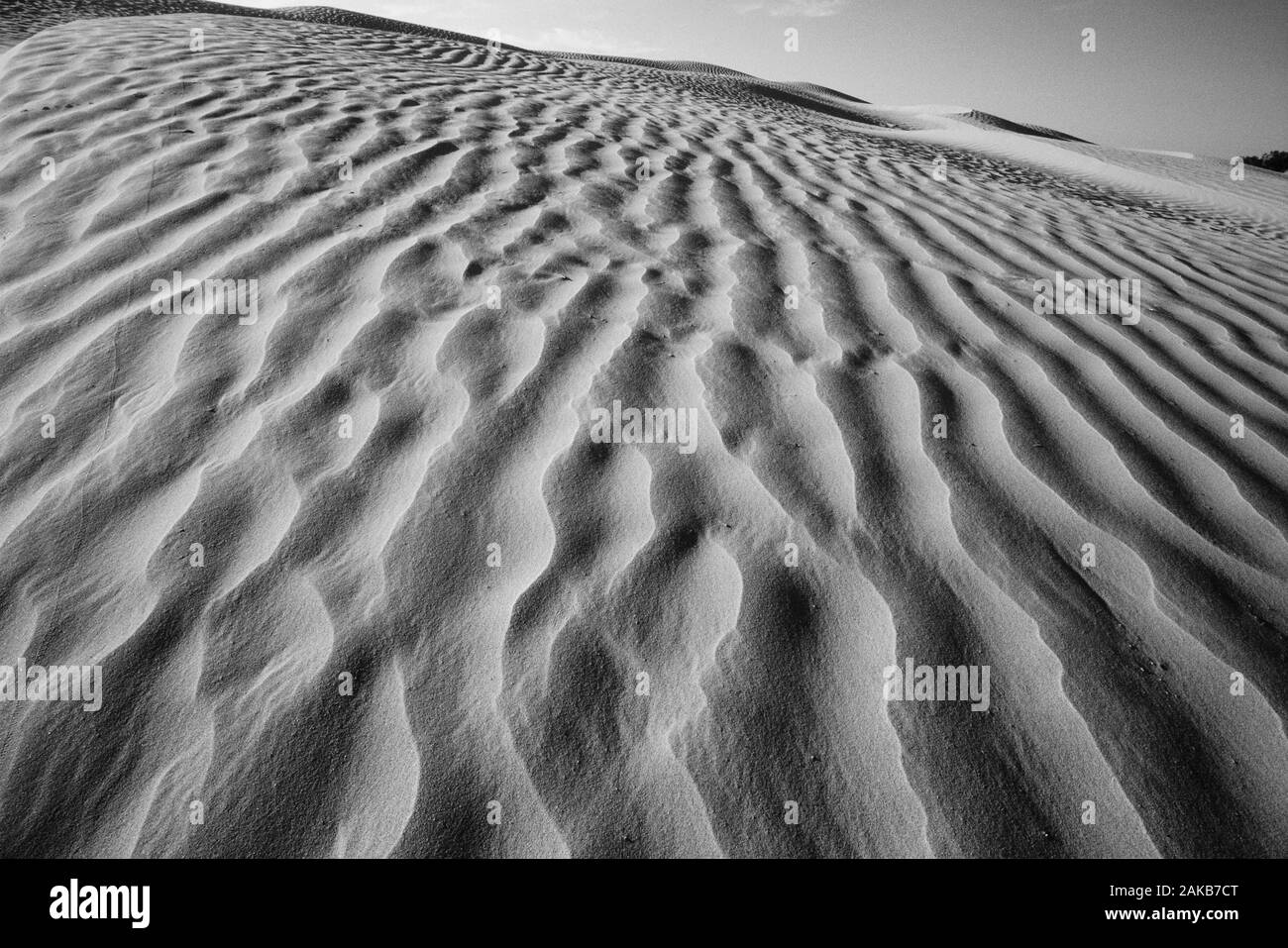 Paysage noir et blanc avec désert de sable, Great Sand Hills, Saskatchewan, Canada Banque D'Images
