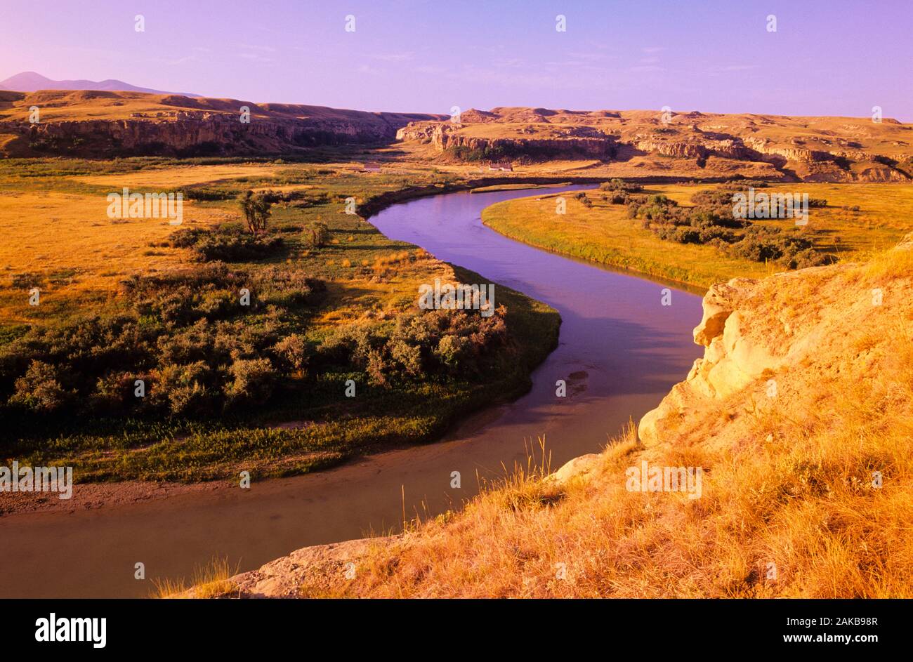 Paysage avec rivière de lait, de l'écriture sur pierre Parc Provincial. L'Alberta, Canada Banque D'Images