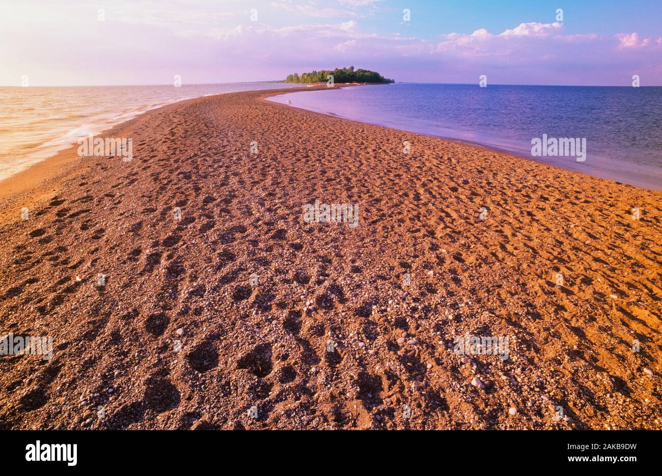 Paysage avec plage le long de la péninsule, le parc national de la Pointe-Pelée, Ontario, Canada Banque D'Images