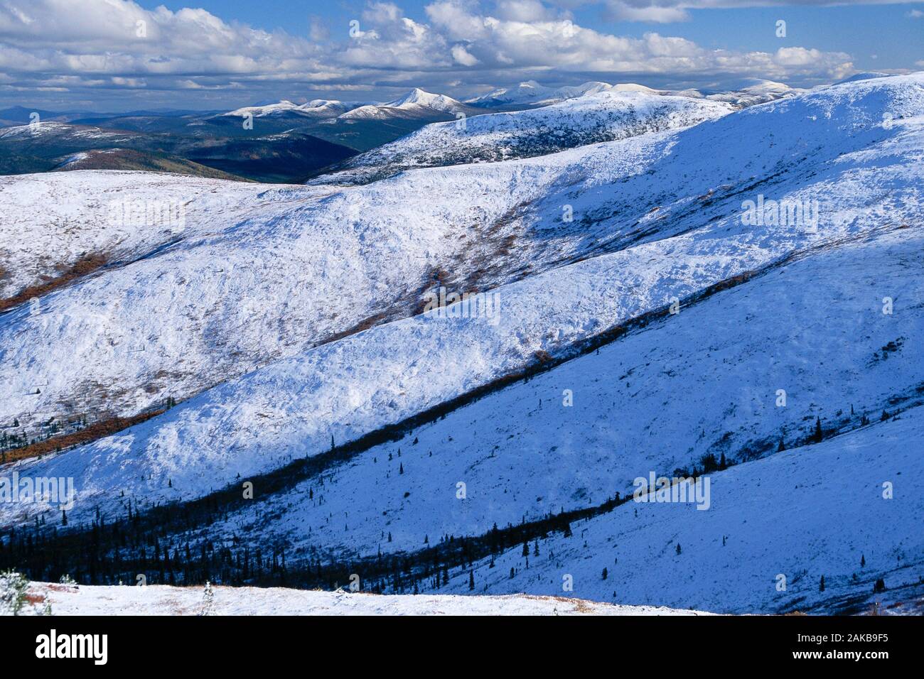 Paysage avec des collines enneigées en hiver, près de Dawson City, territoire du Yukon, Canada Banque D'Images