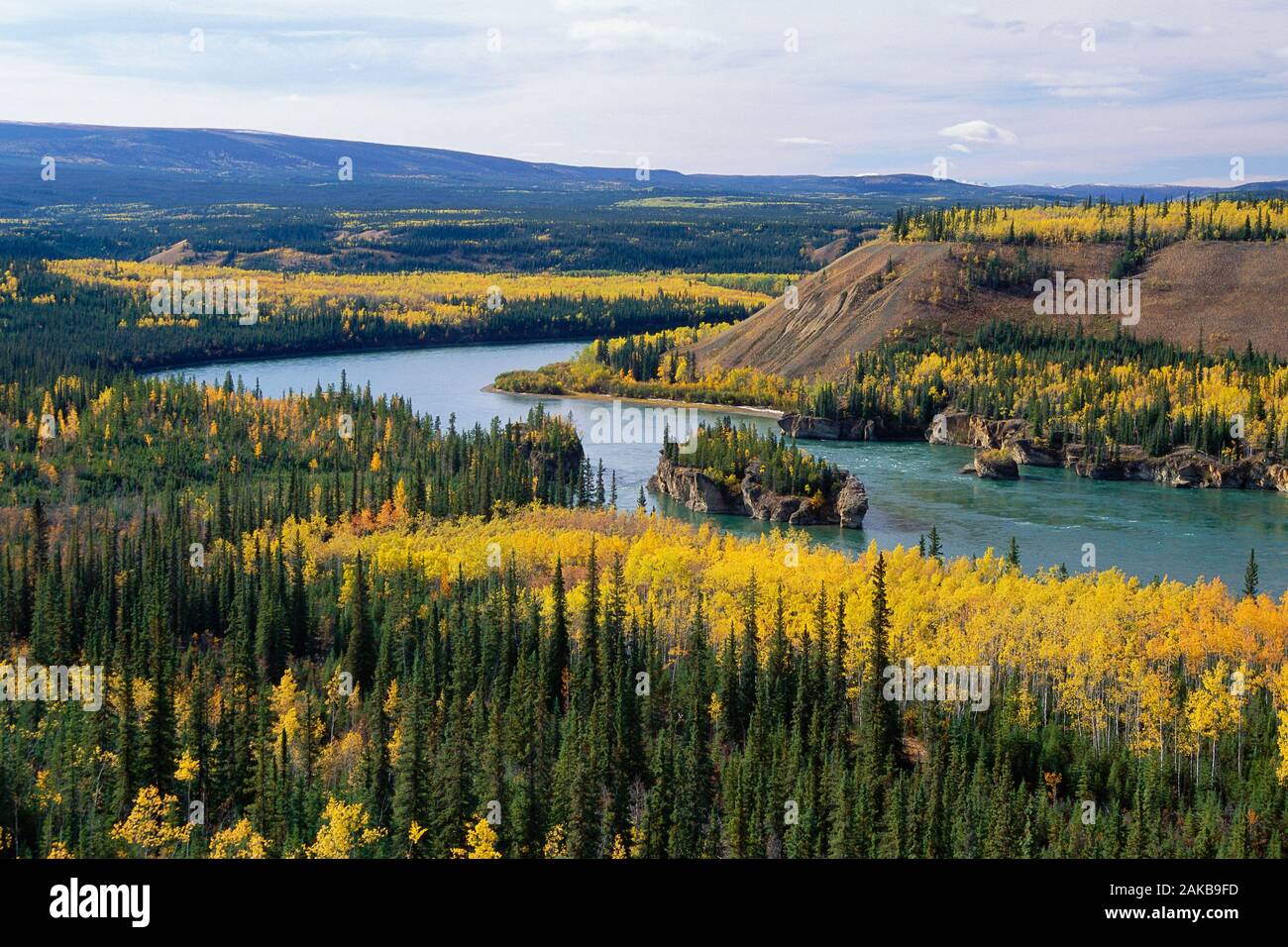 Five Fingers Rapids, territoire du Yukon, Canada Banque D'Images