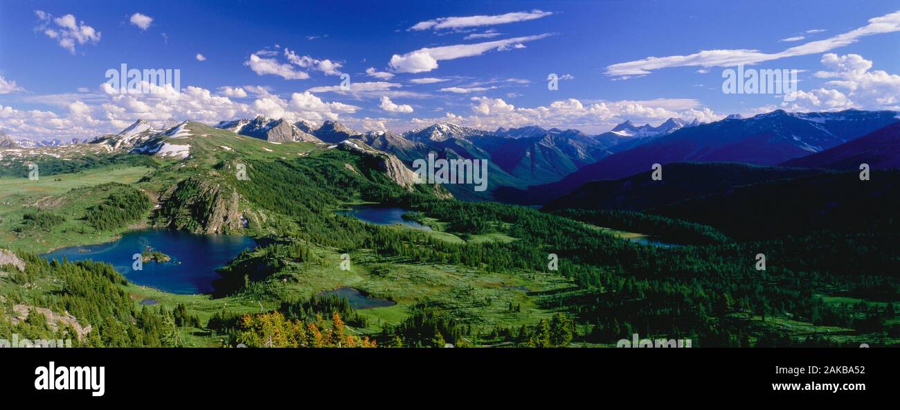 Sunshine on Meadows, parc provincial du Mont Assiniboine, Colombie-Britannique, Canada Banque D'Images