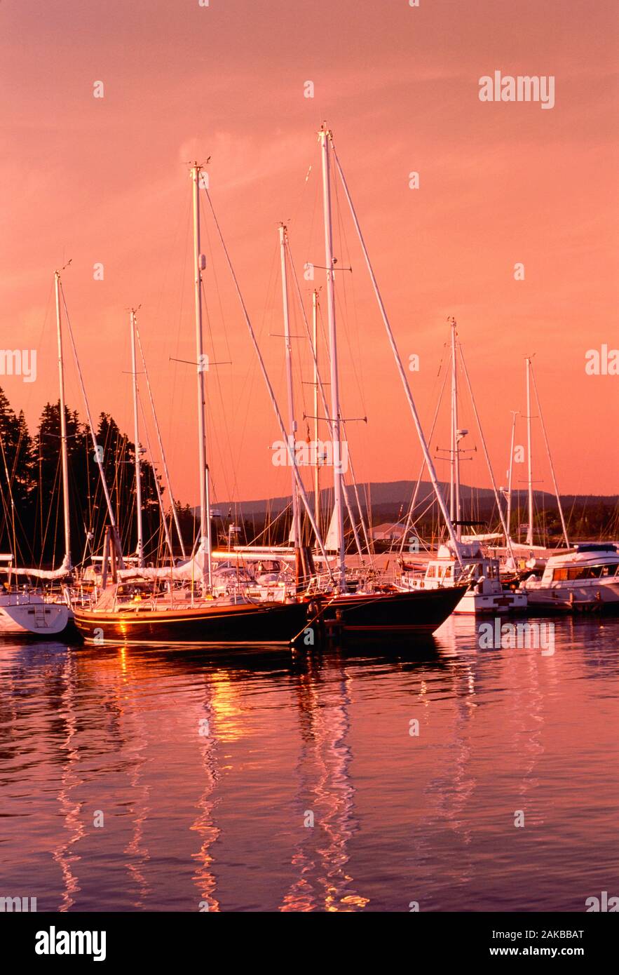 Voiliers dans le port au coucher du soleil, Berrand, Mount Desert Island, Maine, USA Banque D'Images