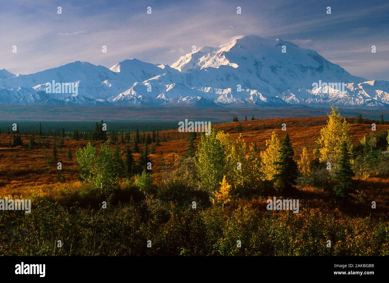Paysage avec le Mont McKinley, Denali National Park, Alaska, USA Banque D'Images