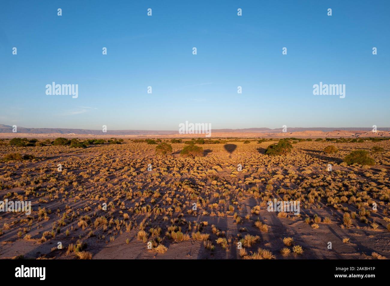 Balloon survolez le désert d'Atacama à San Pedro de Atacama, au Chili Banque D'Images