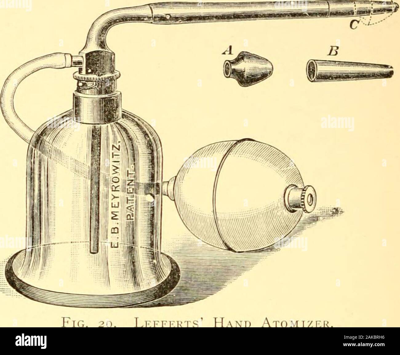 Les maladies du nez et de la gorge . Fig. 19. L'article de kyste osseux de cornet moyen. (Auteurs spécimen.) une couche d'épithélium stratifié, ; b, couche d'connectivetissue richement vasculaire cellulaire, qui est plutôt plus dense sur les couches d'os, c-c-d ; e, vaguement ofvery de couche de tissu conjonctif oedémateux organisées ressemblant à du tissu myxomatous ;f, la couche d'épithélium cilié ; g, couche d'ostéoblastes. fois dans 200 observations post-mortem. Ils sont généralement respectées dans les adultes et sont plus fréquents chez les femmes que chez les hommes. Le kyste atteint parfois des dimensions énormes, comme illustré dans l'accompanyi Banque D'Images