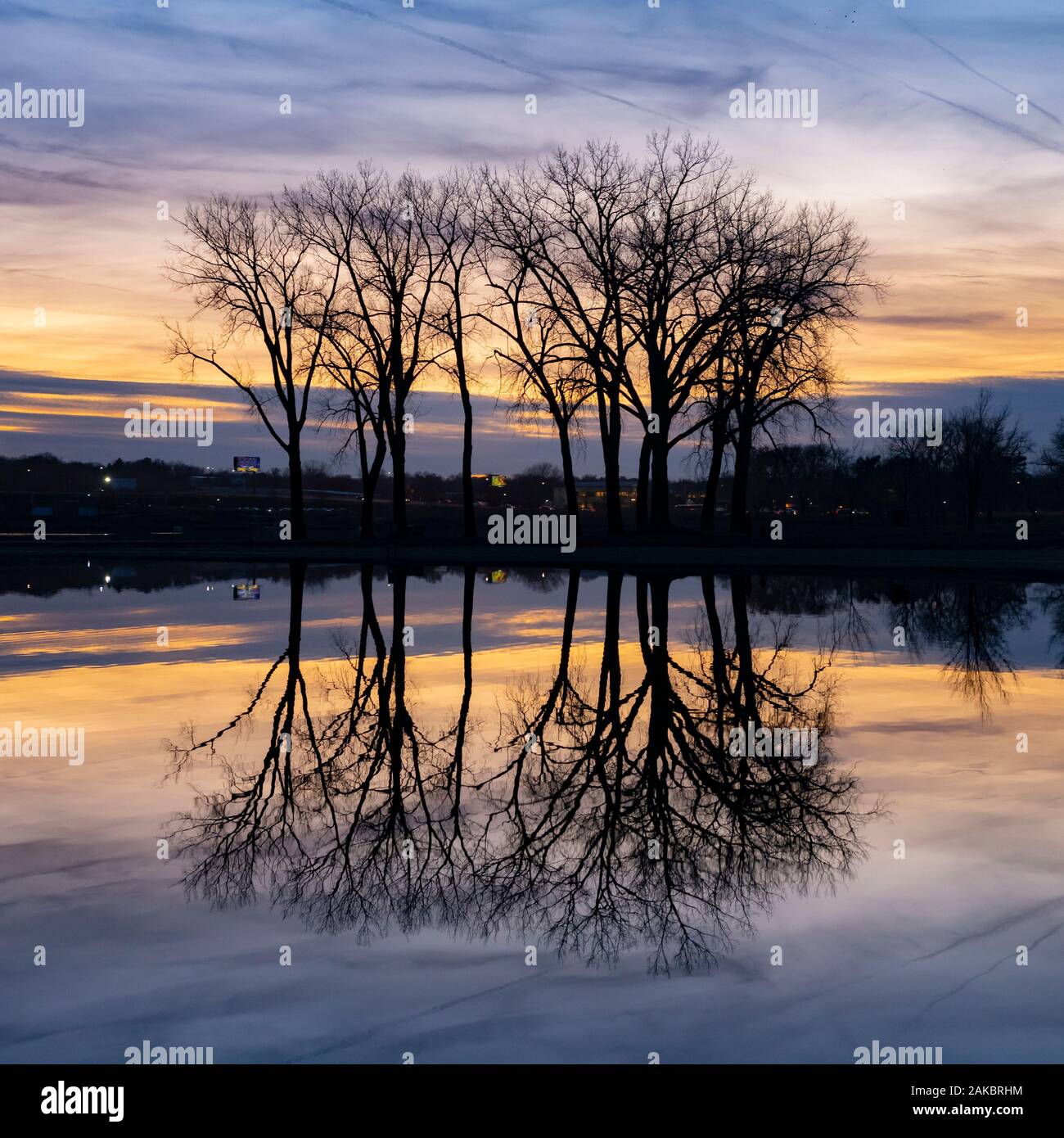 Groupe d'arbres au coucher du soleil sur un lac calme Banque D'Images