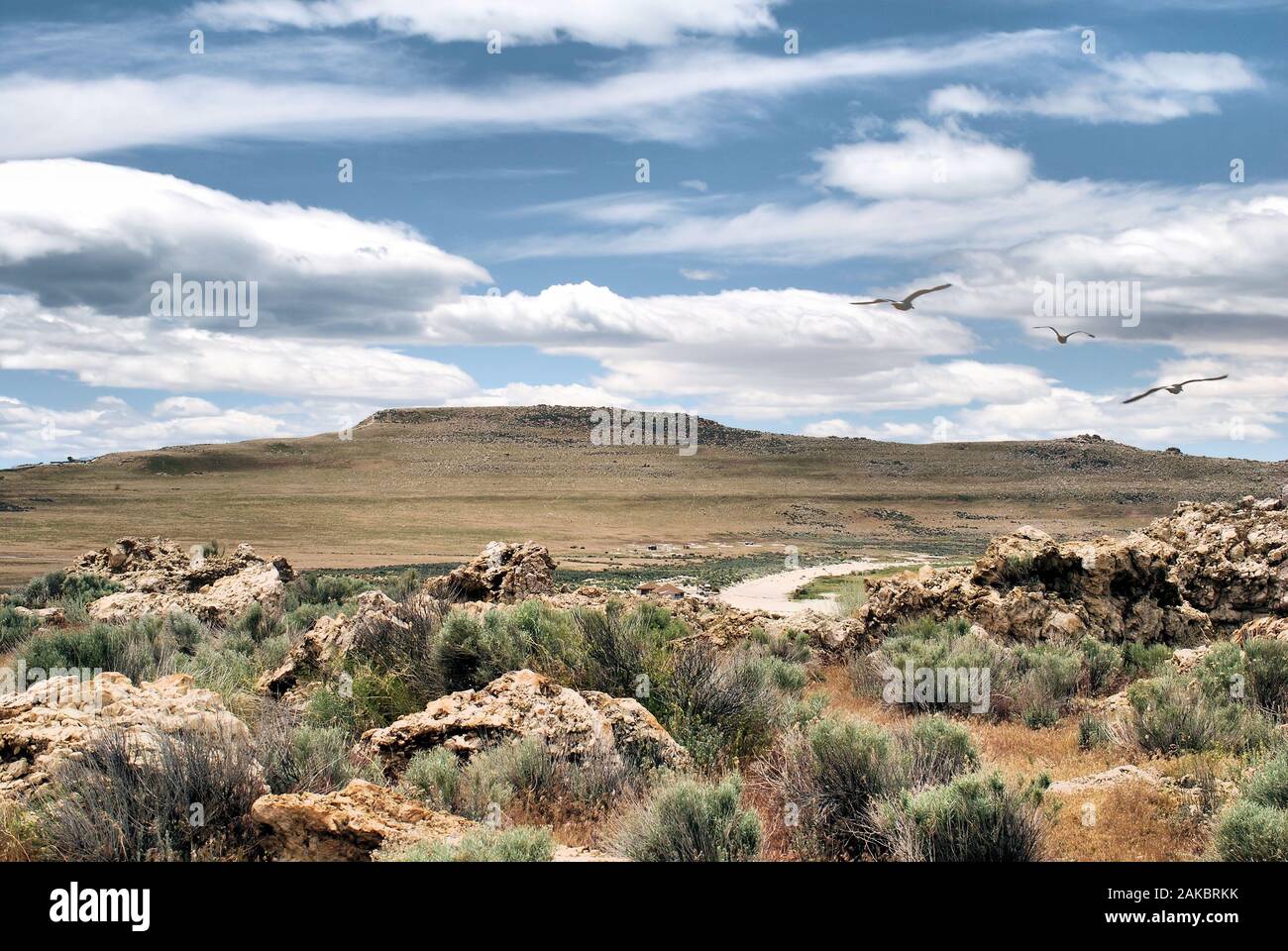 Vue sur l'île Antelope sur Salt Lake dans l'Utah Banque D'Images