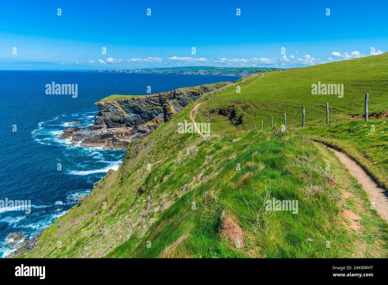 Chemin à pied de Port Isaac à Port Quin, Cornwall, Angleterre, Royaume-Uni, Europe Banque D'Images