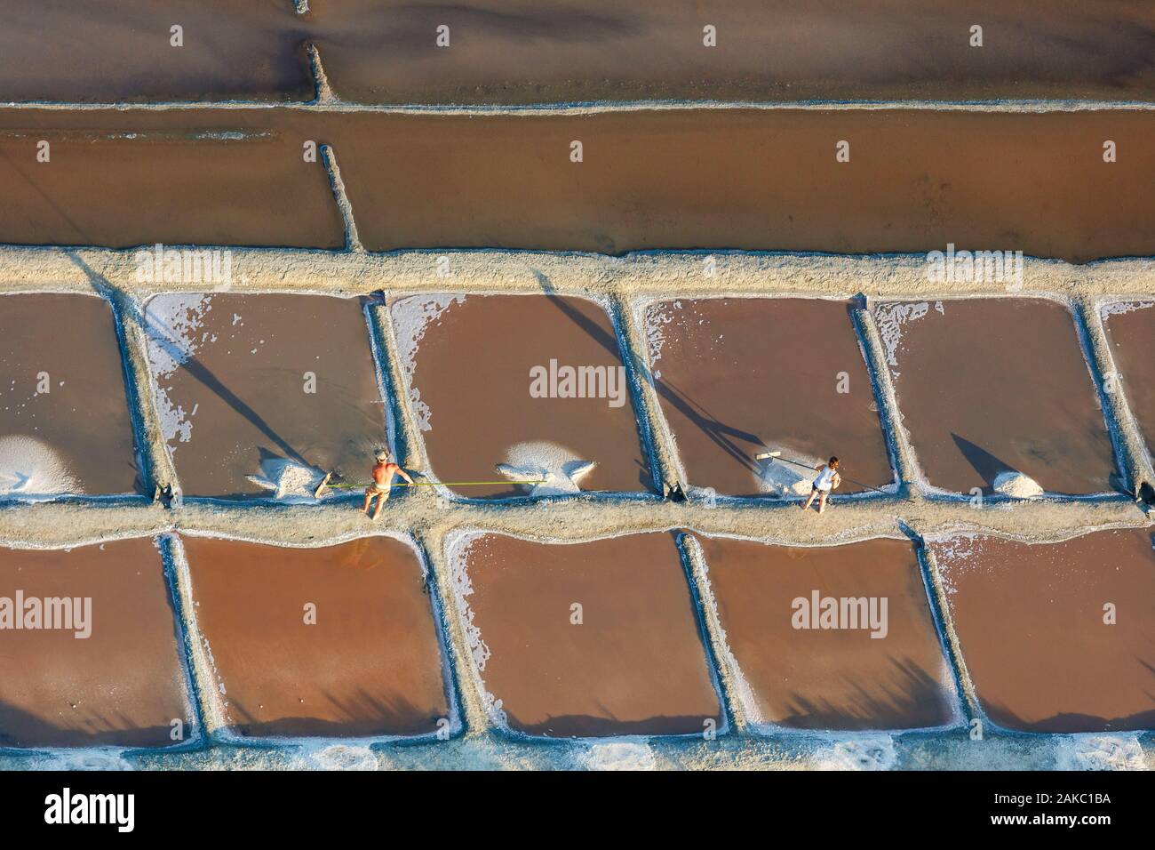 France, Charente Maritime, Ile de Ré, Ars en Ré, travailleur du sel dans les marais salants (vue aérienne) Banque D'Images