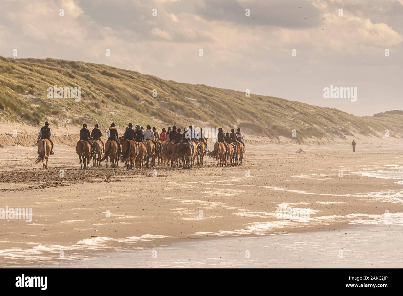 France, Somme, Quend-Plage, troupe de cavaliers et leurs chevaux Henson sur la plage Banque D'Images