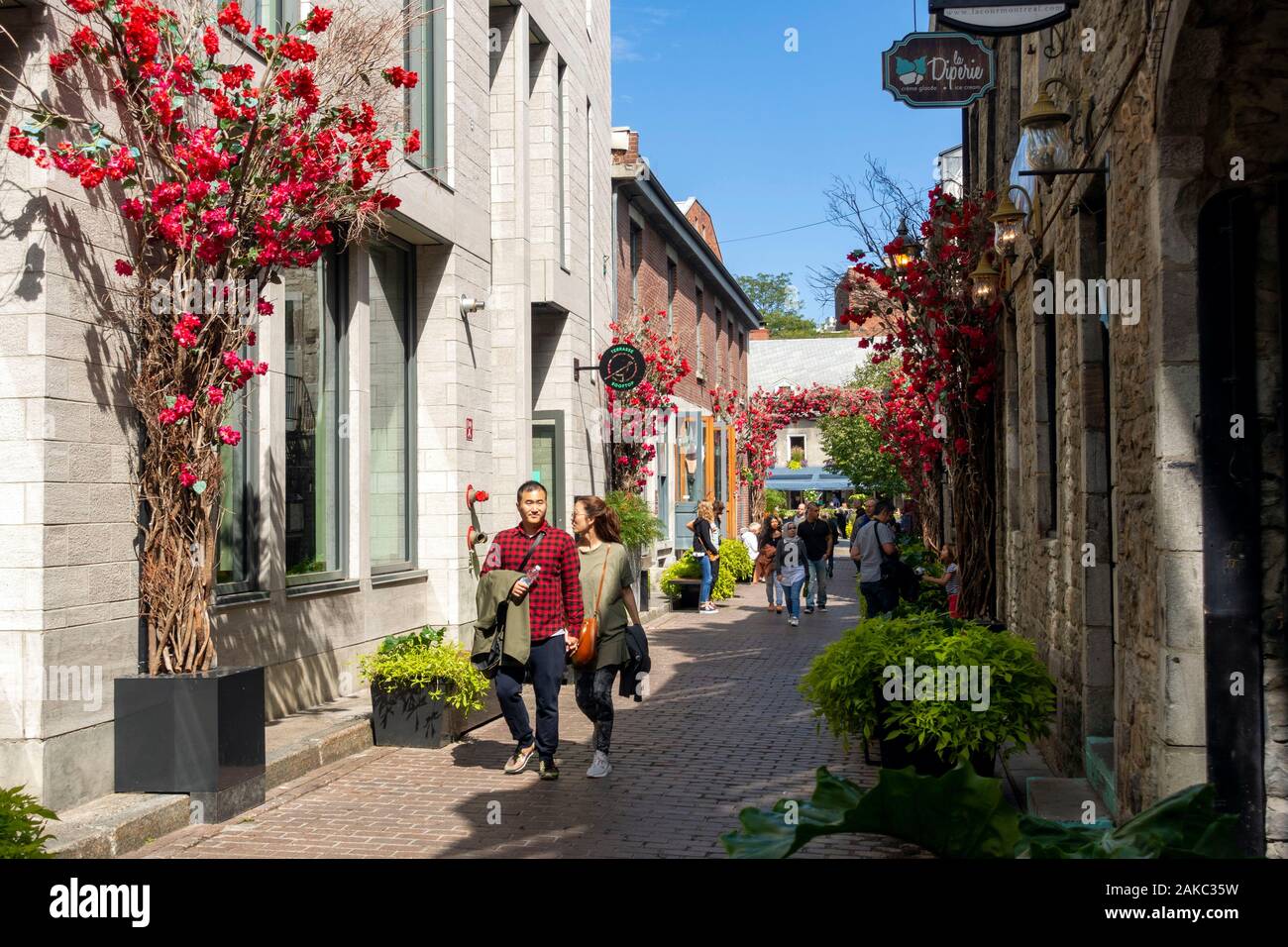 Canada, Province de Québec, Montréal, Vieux Montréal, Saint Louis rue piétonne menant à la Place Jacques-Cartier et ses boutiques et restaurants en été Banque D'Images