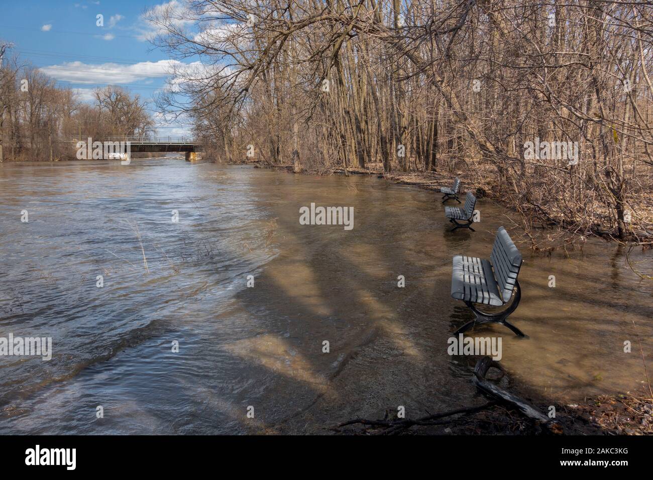 Canada, Province de Québec, Montréal, Ahuntsic, quartier La Merci Park, les rives de la Rivière des prairies inondées au printemps Banque D'Images