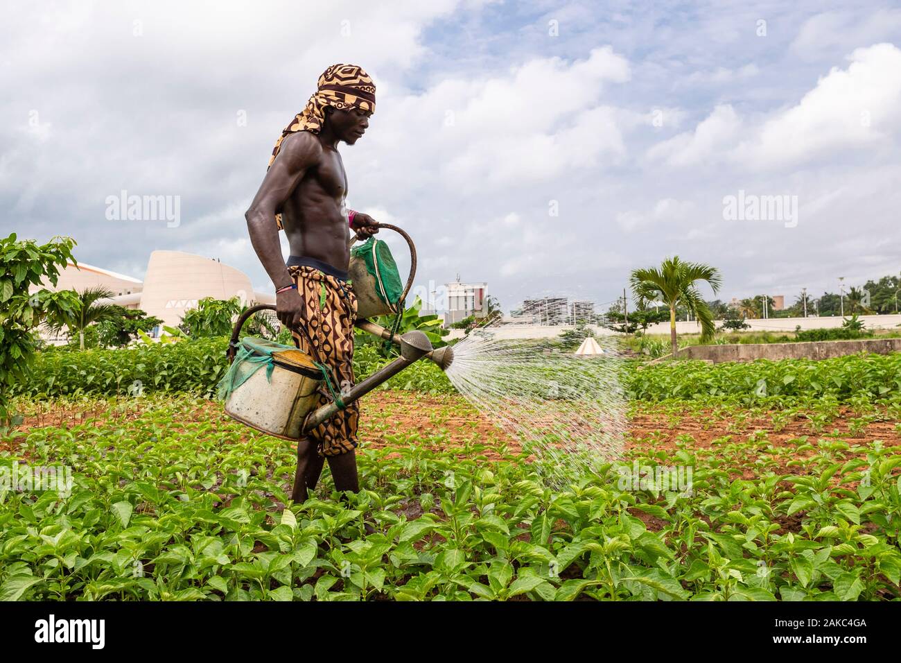 Bénin, Cotonou, l'arrosage des jardins de légumes jardinier Banque D'Images