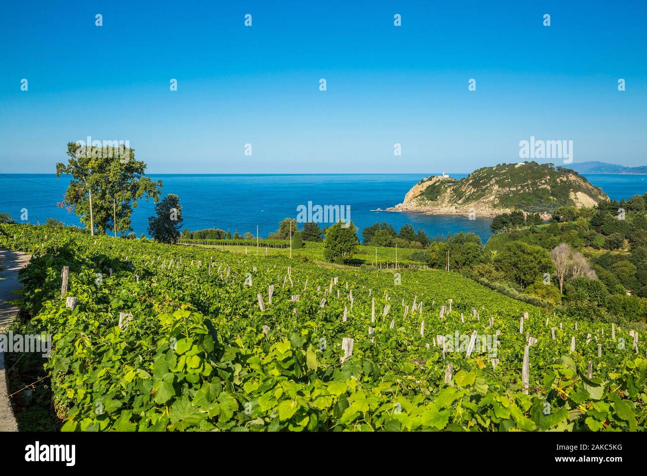 Espagne, Pays Basque, Guipuzcoa, Getaria Banque D'Images