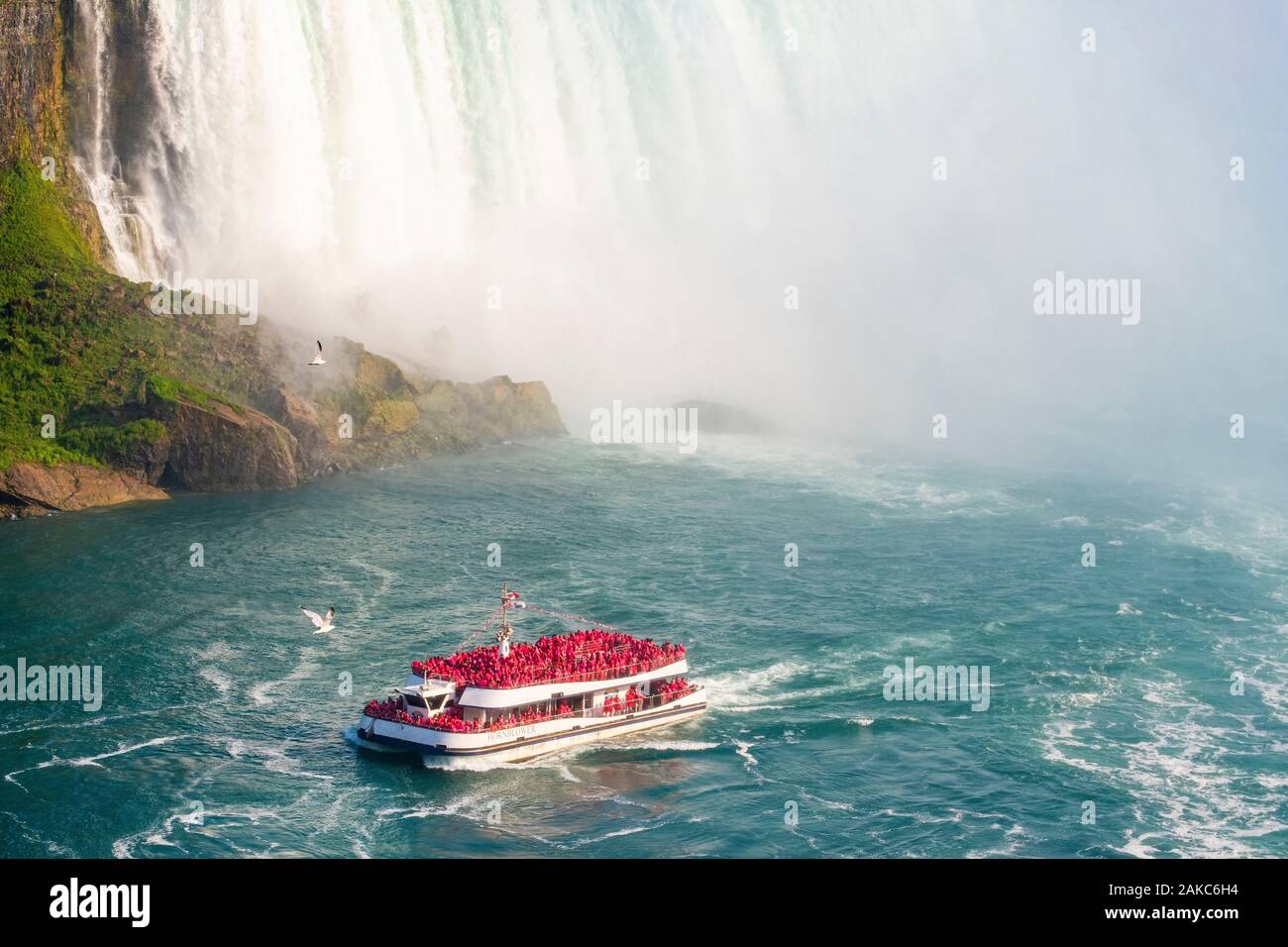 Le Canada, la province de l'Ontario, Niagara Falls, les chutes canadiennes, Hornblower Bateau canadien d' Banque D'Images