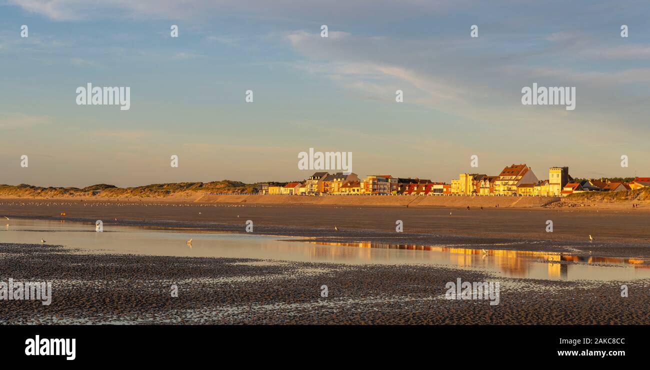 Quend beach Banque de photographies et d'images à haute résolution - Alamy