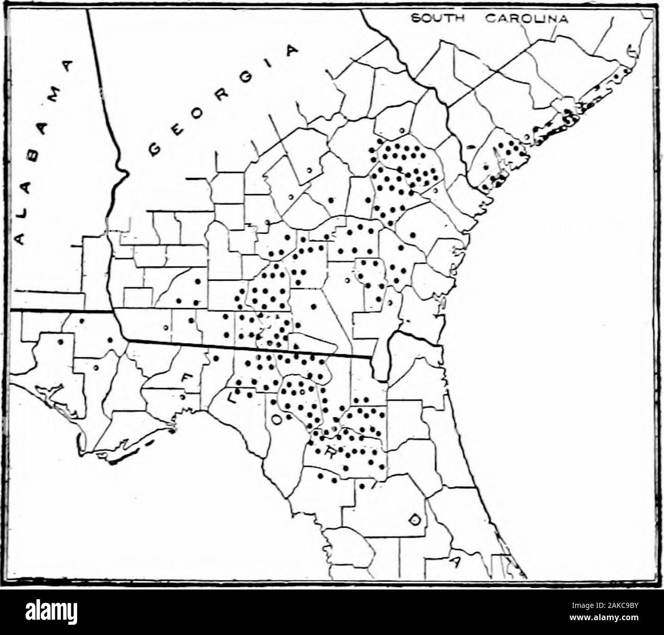Le sud de grandes cultures (à l'exclusion des plantes fourragères) . Fig. 131. - Une mer isl.vsd PL Coton.iNT. a forcément un pourcentage plus faible de peluche ; le rendement de moins lintis, souvent inférieur à 80  % de ce yieldetl byshort-variétés de base sur le même niveau du sol. La différence de prix entre long et court-staplecotton varie considérablement d'année en année. En règle générale, cette espèce COTTOX 2i9, différence ou premium, pour l'agrafage est entre 3 et 5 cents par livre de peluches. 251. Coton Sea Island (Fig. 131). - Isgromi coton Cette entente multiplie uniquement dans des zones limitées sur ou plutôt près de l'seacoastin .en Caroline du Sud, Banque D'Images