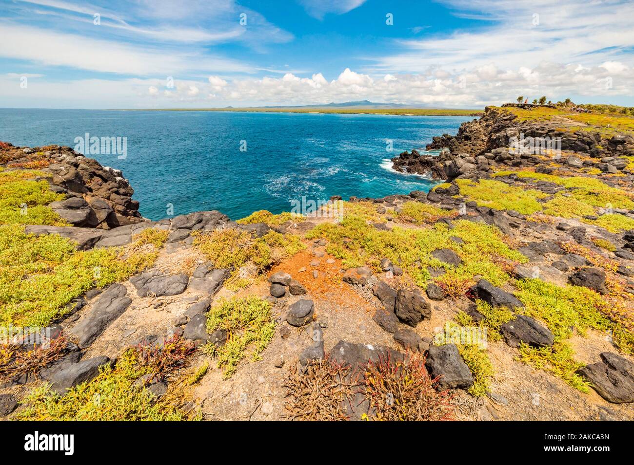 L'Équateur, l'archipel des Galapagos, inscrite au Patrimoine Mondial de l'UNESCO, l'île de Santa Cruz, l'Île Plaza Sud Banque D'Images